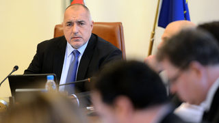 Правителството отпусна 9.7 млн. лева за справяне с птичия грип