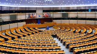 В Европарламента призоваха веднага да се изпратят наблюдатели в Румъния
