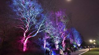 Фотогалерия: Градът Есен като <span class="highlight">Зелена</span> <span class="highlight">столица</span> за 2017 г.