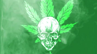 BONGZILLA