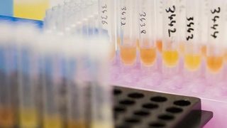 Нов вид контрацептив за мъже премина успешно тестовете върху маймуни