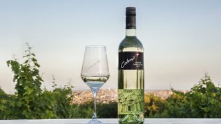 Изба сред природата