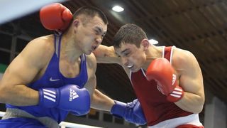 Девет български боксьори стигнаха финалите в турнира "<span class="highlight">Странджа</span>"