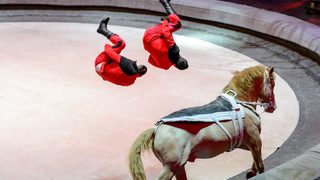 CIRCUS 2.0