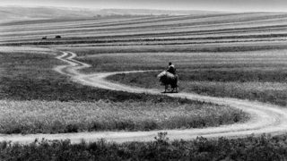 Фотоизложба на Аббас Киаростами гостува в Дома на киното