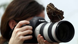 Фотогалерия: На гости на сензационните пеперуди