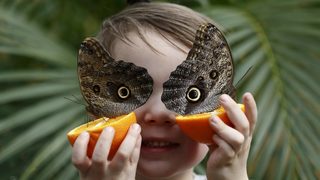 Фотогалерия: На гости на сензационните пеперуди