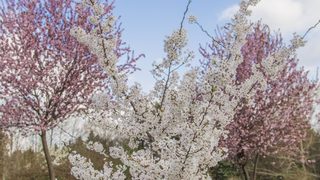Предозиране: Голямо въодушевление обзе служителите на музея