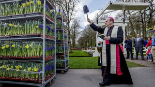 Снимка на деня: Лалета за папата