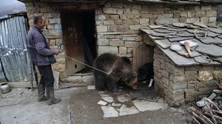 Фотогалерия: Паркът в Белица посрещна мече от Албания
