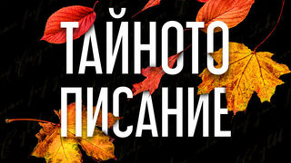Откъс от "Тайното писание" на Себастиан Бари