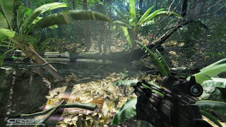 Шефът на Crytek говори за отлагането на <span class="highlight">Crysis</span>
