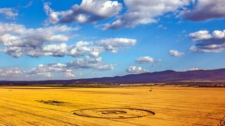 Появиха се мистериозни житни кръгове край София