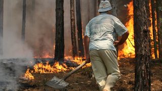 Над 150 пожара е имало в страната за последното денонощие
