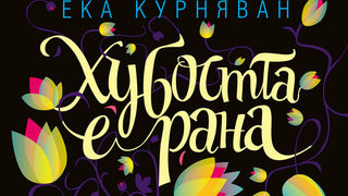 Откъс от "Хубостта е рана" на Ека Курняван