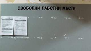 Нова програма за заетост ще осигури работа на 830 души от Северозападна България