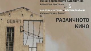 Различното <span class="highlight">кино</span>