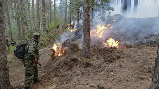 Пожарът при село Влахи заплашва и редки животни в два екоцентъра