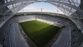 Нашествие от <span class="highlight">скакалци</span> може да донесе глобален скандал за Русия покрай световното по футбол