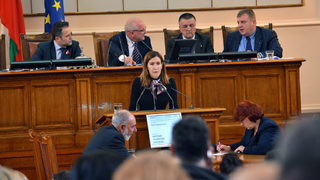 Министерството на туризма не може да се намеси в конфликта на плаж "Делфин", каза Ангелкова