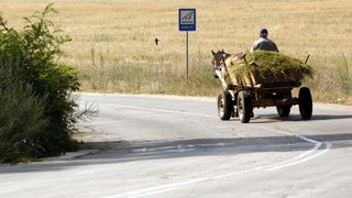 Прокуратурата ще дебне за движението на каруци в София
