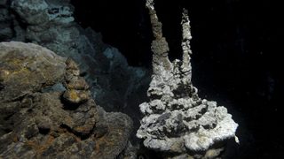 Учени откриха пластмаса в морски животни от най-дълбоките води на Земята