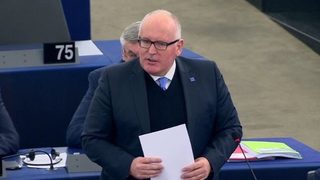 Цитат на деня: Не може да използваш демокрацията срещу върховенството на закона
