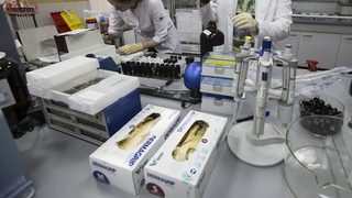 Британската антидопингова агенция получи допълнително 6 милиона паунда от правителството