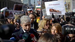 След намесата на премиера министър Димов намери начин да прати лъвчетата в Холандия