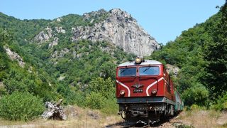 Бъдещето на теснолинейката е под въпрос