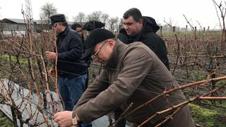 Лозарският сектор е получил 50 млн. лв. помощи през 2017 г.