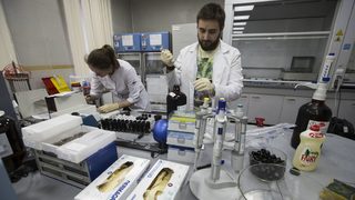 Хакери са опитали да източат секретни файлове от Британската антидопингова агенция