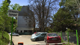Полицията разследва кой е унищожил умишлено кестените в "Лозенец"