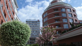 Стартира "Клийвс Сан Стефано" – висок клас жилища под наем