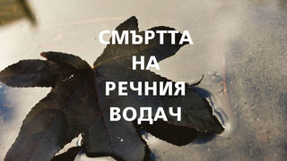 Откъс от "Смъртта на речния водач" на Ричард Фланаган