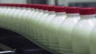Деца от четири града са яли заразеното мляко