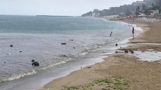 Десетки чували със смет плуват в морето край варненския плаж "Кабакум" (видео)