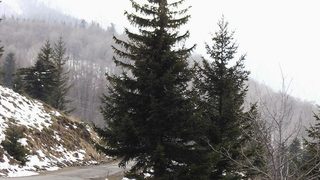 Ком - последният див сезон 