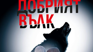 Откъс от "Добрият вълк" на Александер Сьодерберг