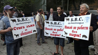 Частните ветеринари заплашиха Борисов с протест, ако държавата не им плати дължимото