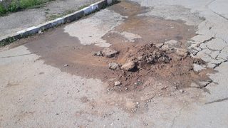 Читателски Дневник: Потъване в Макоцево?