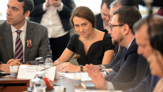 Гинка Върбакова излиза от фирмите си за <span class="highlight">слънчева</span> енергия