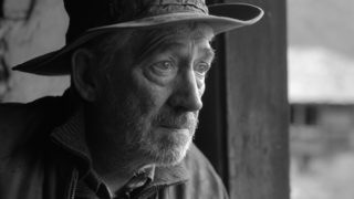 "Златна роза": Понижен кинематографичен градус