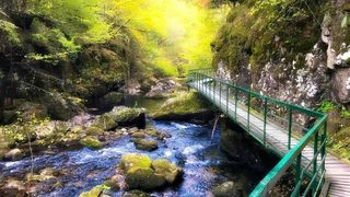 Читателска фотогалерия: Струилица