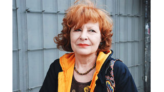 Собствена стая... с изглед към ХХ век