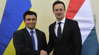 Украйна не изключи загуба на територии заради раздаване на унгарски паспорти