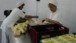 Евроинспектори ще проверяват българските ветеринари 