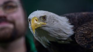 Алекси Желязков стана скаут в "Лудогорец"