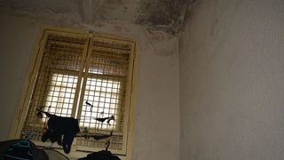 Цачева свиква съвещание за условията в арестите, кани и Мая Манолова