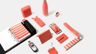 <span class="highlight">Pantone</span> обяви "жив корал" за цвят на 2019 г.